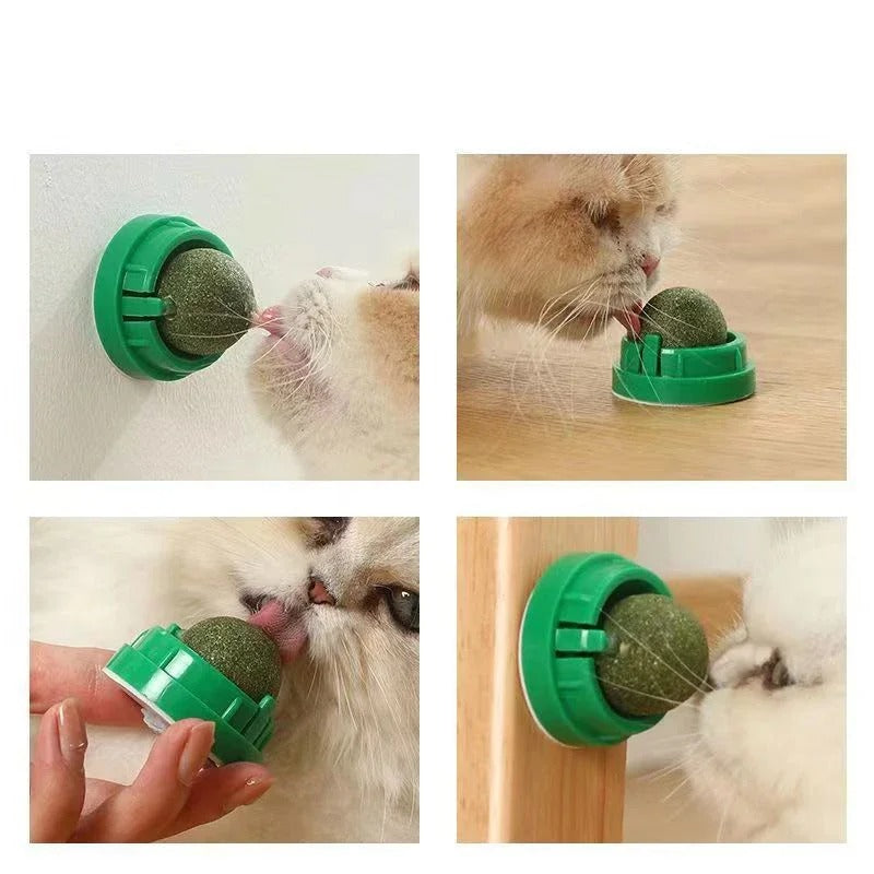 Felineau Balles d'Herbe à Chat Premium — Lot de 4 Adhésives Rotatives