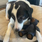 Jouet rembourré pour chien en toile à coutures renforcées