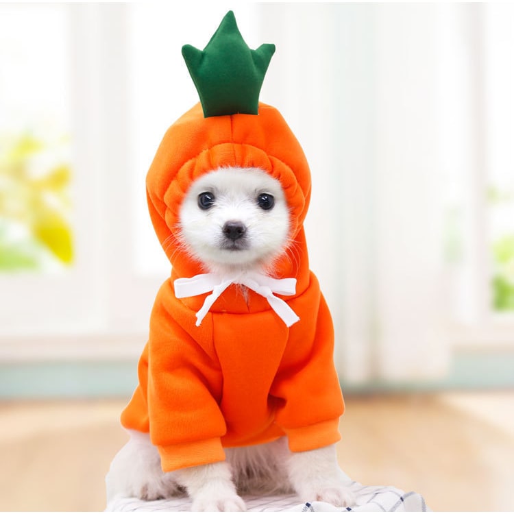 Sweat à capuche en polaire pour petit chien