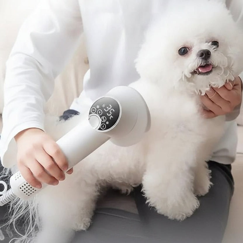 Brosse sèche-poils électrique pour chien et chat à écran numérique
