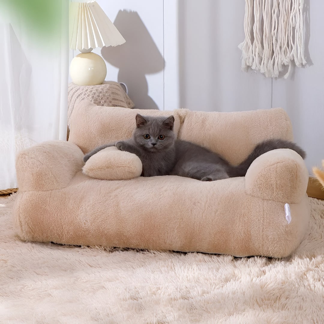 Petit canapé pour chien avec coussin, 55 × 38 cm