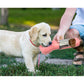 Gourde pour chien à bol intégré et rangement pour sacs