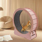 Roue d'Exercice Intérieure pour Chat – Piste Rembourrée Silencieuse 81 cm Finition Bois