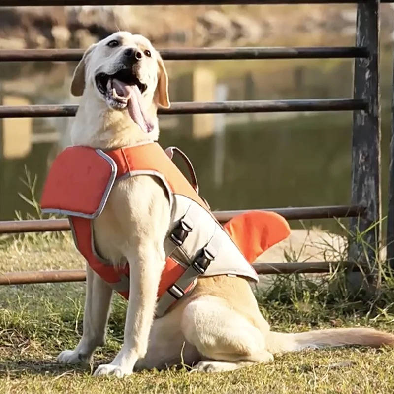 Felineau Gilet de Flottaison pour Chien — Design Requin