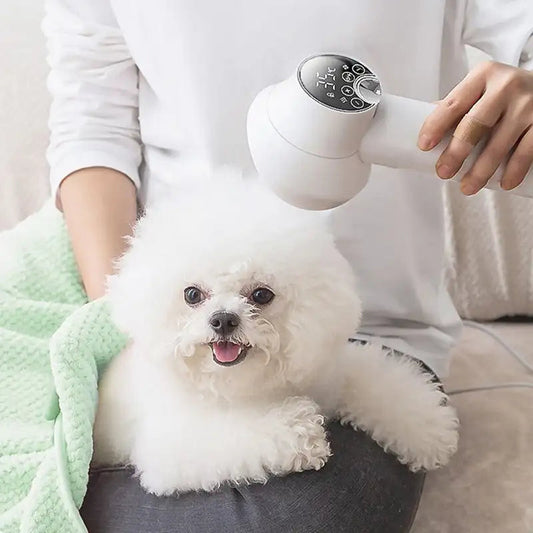 Felineau Sèche-Poils 2 en 1 pour Chien et Chat | Brosse Soufflante de Toilettage Intelligente