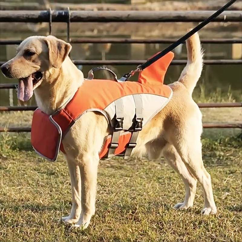 Felineau Gilet de Flottaison pour Chien — Design Requin