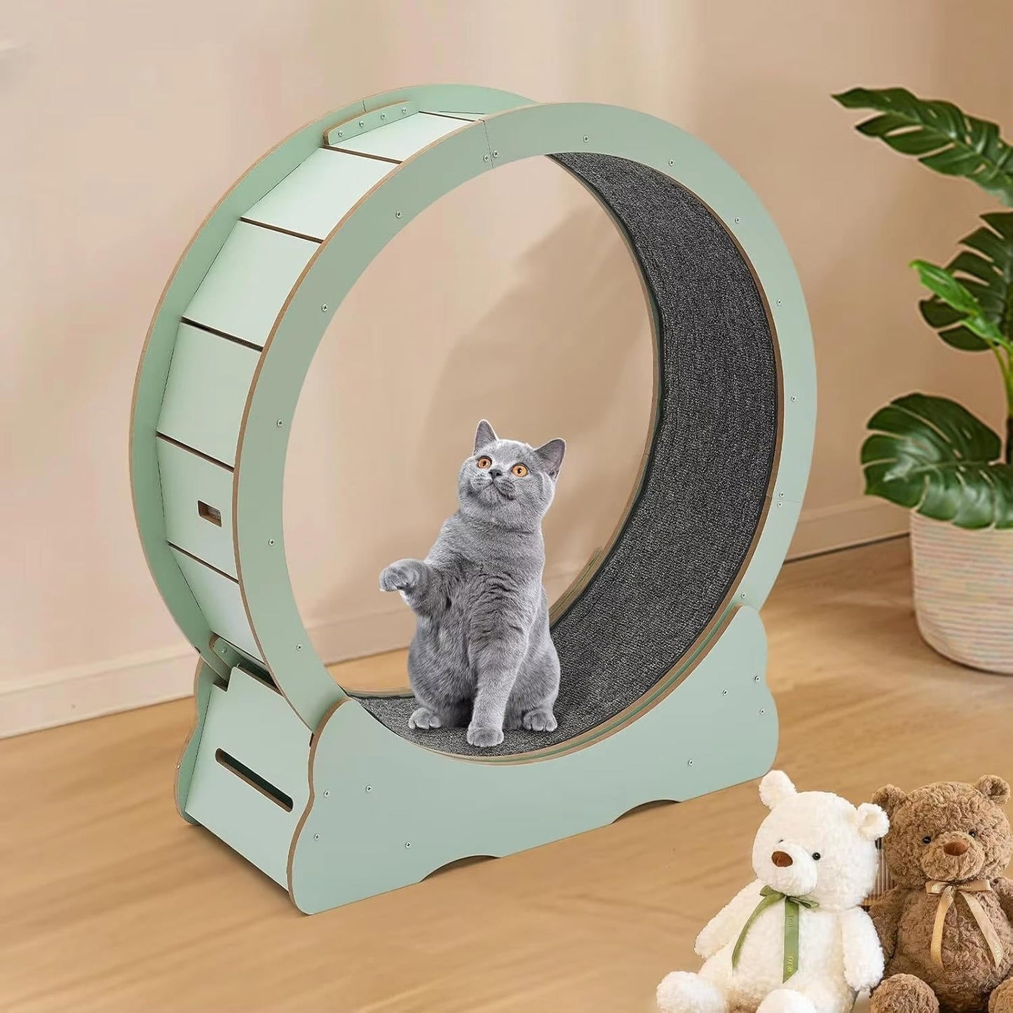 Roue d'Exercice Intérieure pour Chat – Piste Rembourrée Silencieuse 81 cm Finition Bois
