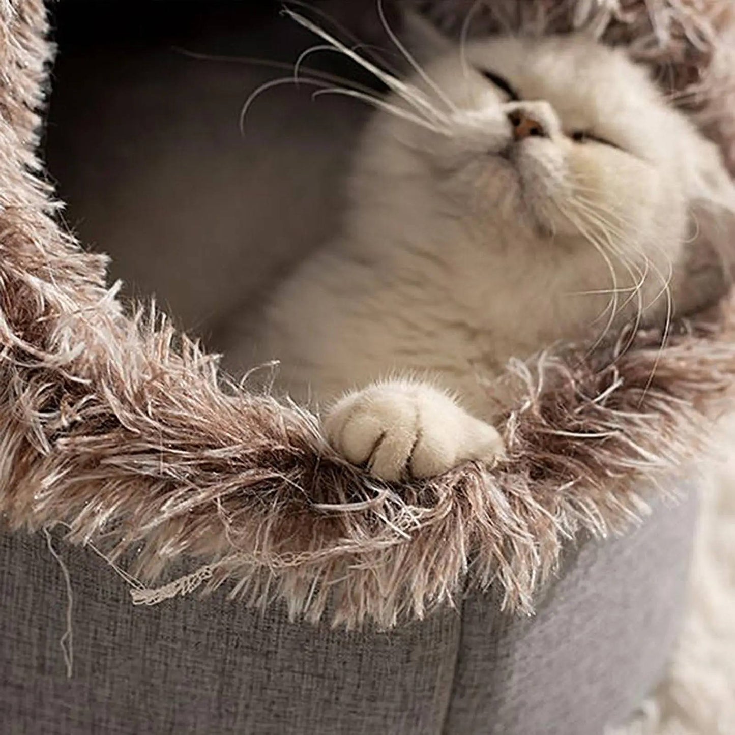 Felineau Lit d'Hiver Moelleux pour Chat | Coussin Chaud et Douillet M et L