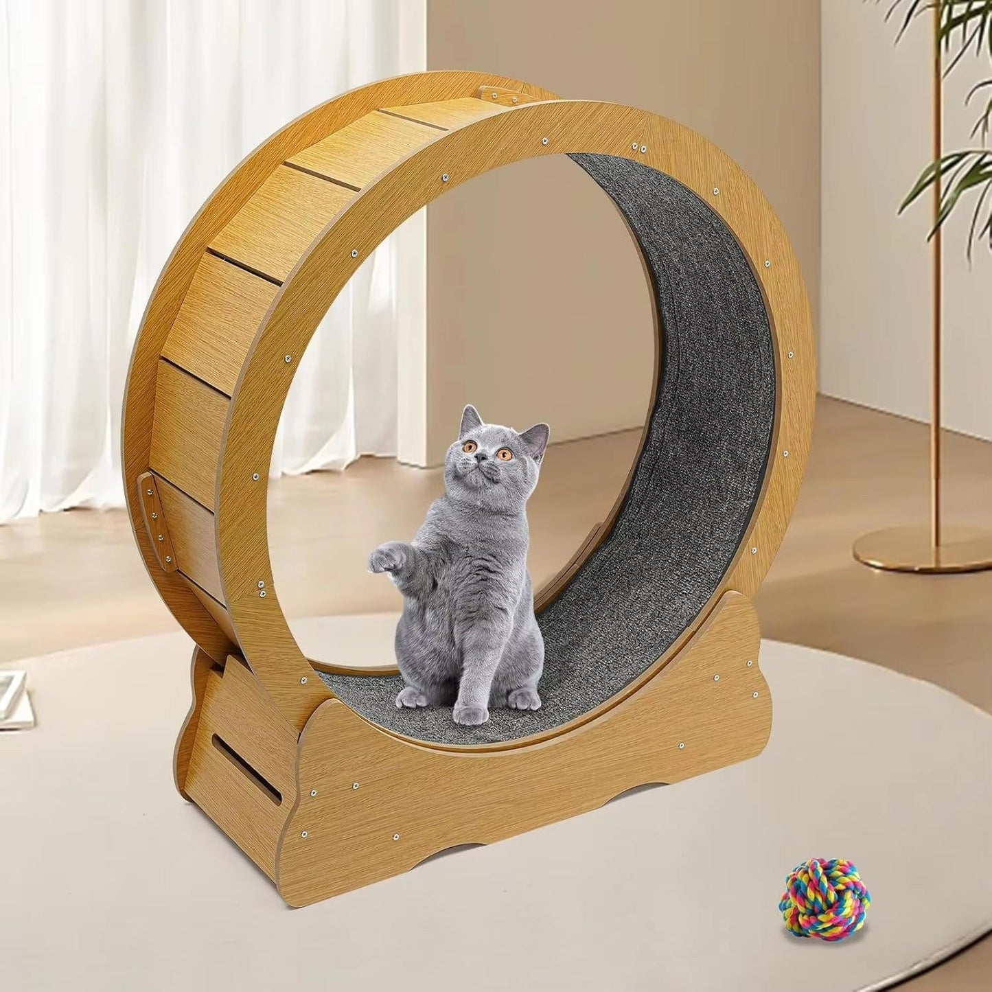 Roue d'Exercice Intérieure pour Chat – Piste Rembourrée Silencieuse 81 cm Finition Bois