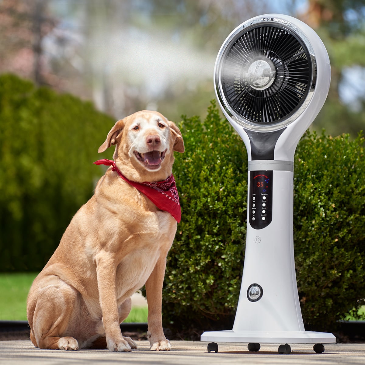 Ventilateur brumisateur sur pied à réservoir de 1,6 litre