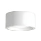Plafonnier LED cylindrique en métal, 12 W