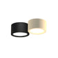 Plafonnier LED cylindrique en métal, 12 W