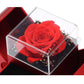 Coffret à bijoux en forme de pomme avec rose et collier