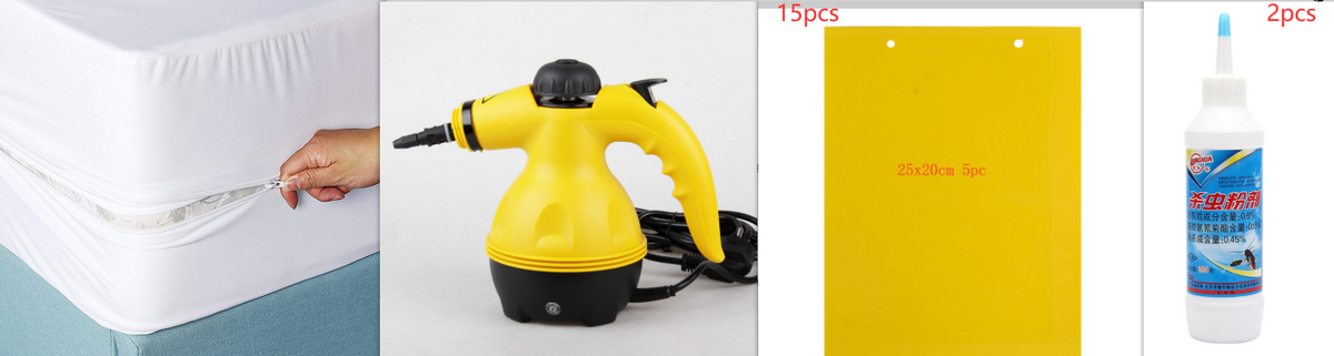 Nettoyeur vapeur portatif à réservoir de 450 ml