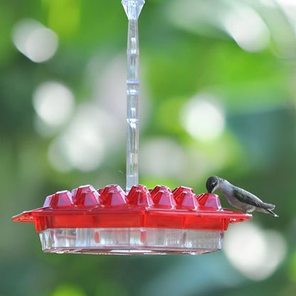 Mangeoire suspendue à nectar avec perchoir circulaire
