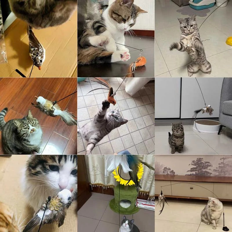 Felineau Set de Jouets Oiseaux Interactifs pour Chat — Base Ventouse