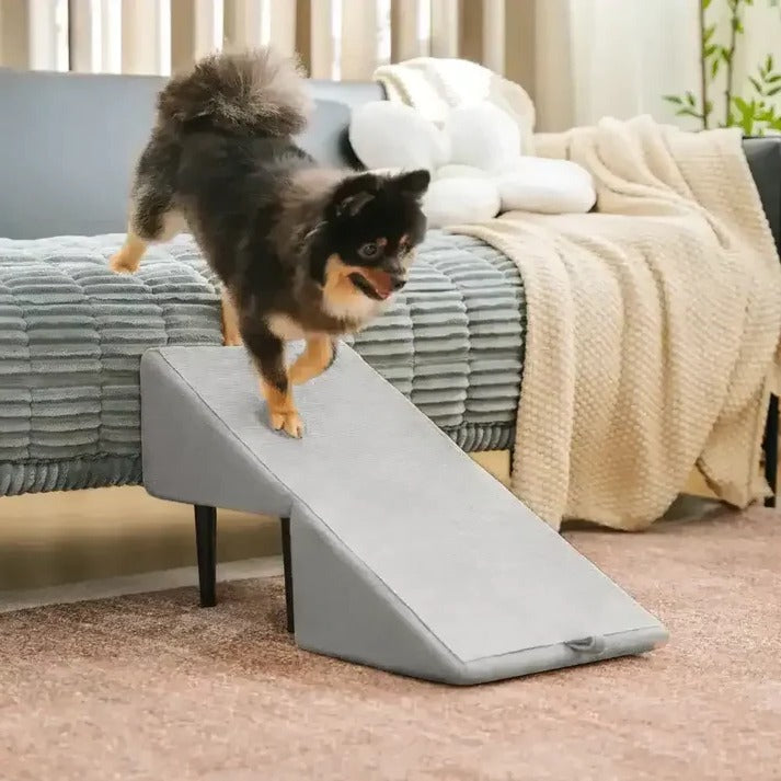 Felineau Rampe Escalier 2 en 1 pour Chien | Accès Sécurisé Canapé Lit et Voiture