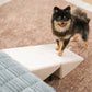 Felineau Rampe Escalier 2 en 1 pour Chien | Accès Sécurisé Canapé Lit et Voiture