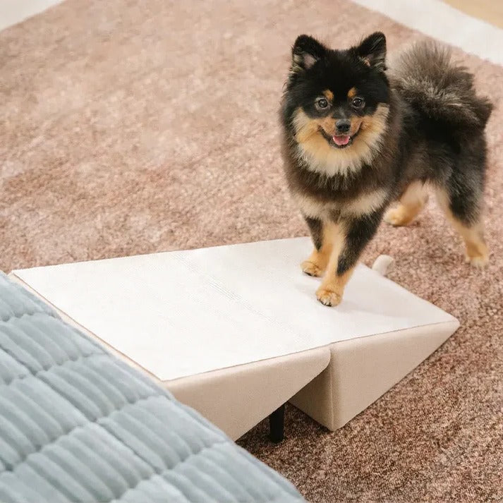Felineau Rampe Escalier 2 en 1 pour Chien | Accès Sécurisé Canapé Lit et Voiture