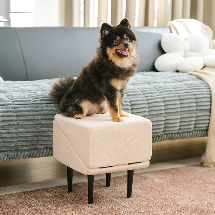 Felineau Rampe Escalier 2 en 1 pour Chien | Accès Sécurisé Canapé Lit et Voiture