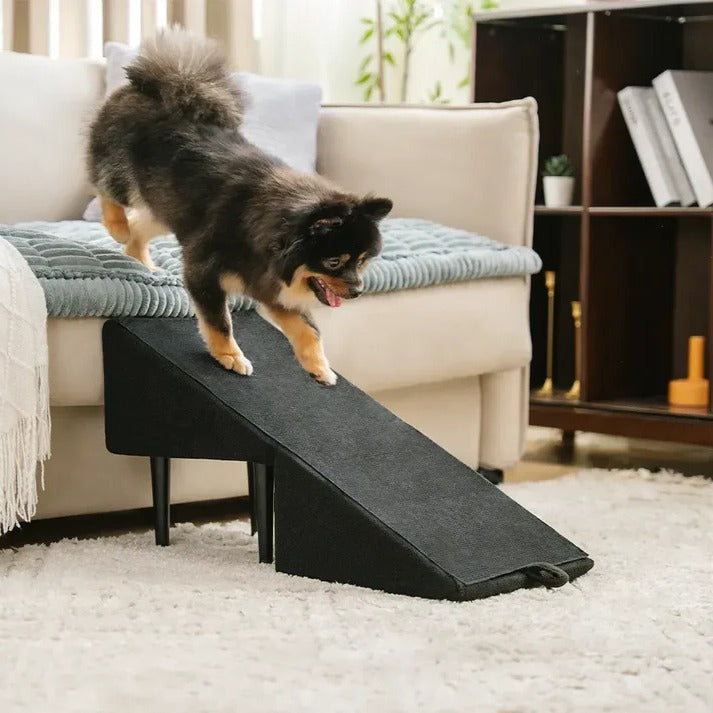 Felineau Rampe Escalier 2 en 1 pour Chien | Accès Sécurisé Canapé Lit et Voiture