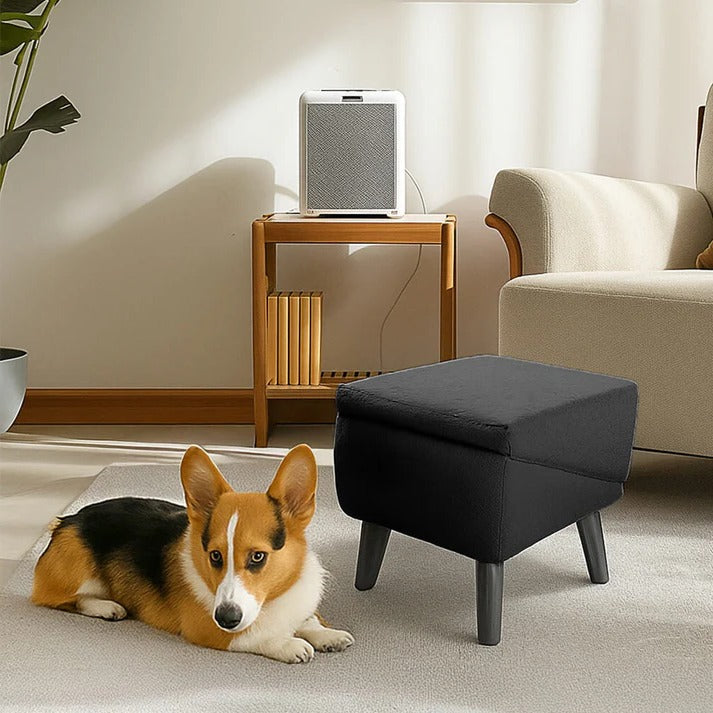 Felineau Rampe Escalier 2 en 1 pour Chien | Accès Sécurisé Canapé Lit et Voiture