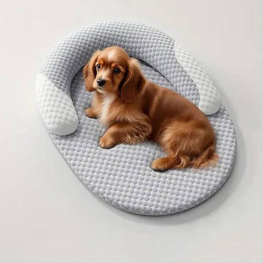 Felineau Panier Orthopédique Rafraîchissant pour Chien