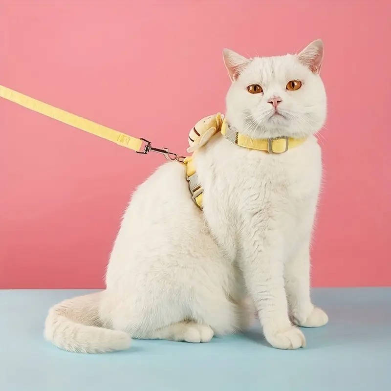 Harnais et Laisse pour Chat – Kit Promenade Anti-Évasion Réglable avec Motif Abeille