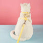 Harnais et Laisse pour Chat – Kit Promenade Anti-Évasion Réglable avec Motif Abeille