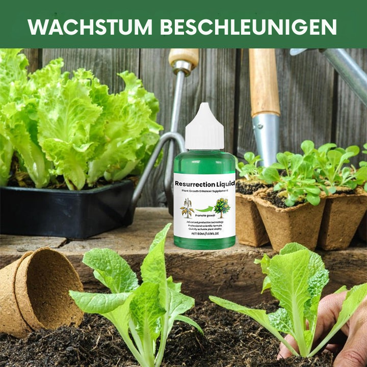 Engrais liquide pour plantes d'intérieur en flacon compte-gouttes, 50 ml