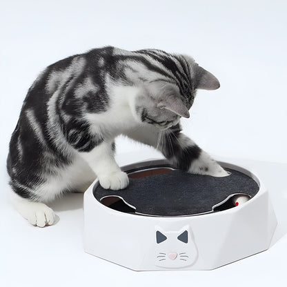 Jouet pour chat avec souris motorisée et surface à griffer