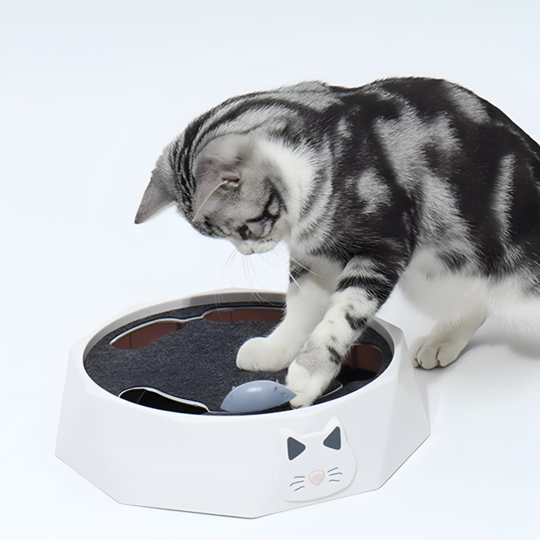 Jouet pour chat avec souris motorisée et surface à griffer