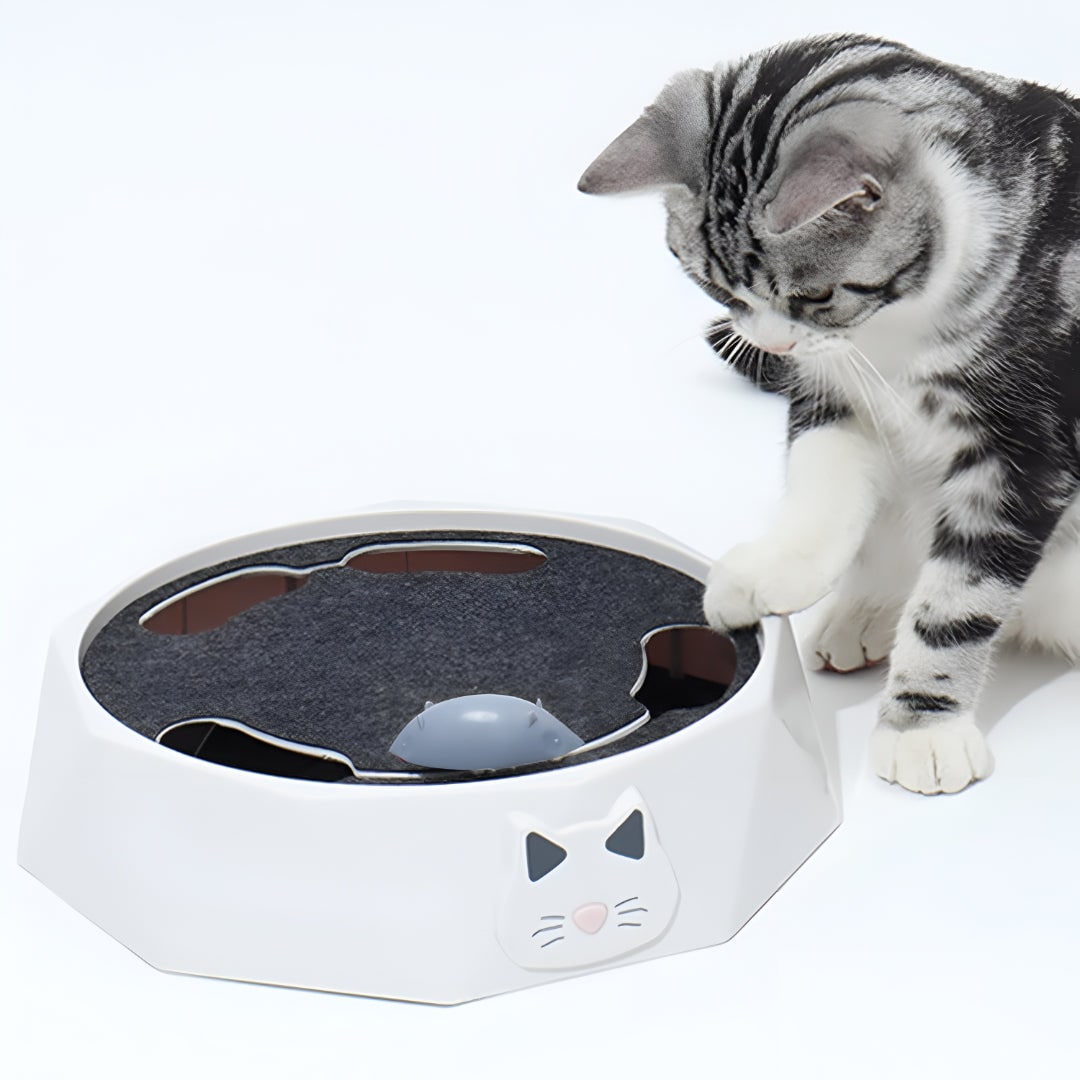 Jouet pour chat avec souris motorisée et surface à griffer