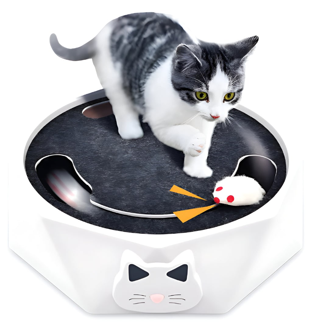 Jouet pour chat avec souris motorisée et surface à griffer