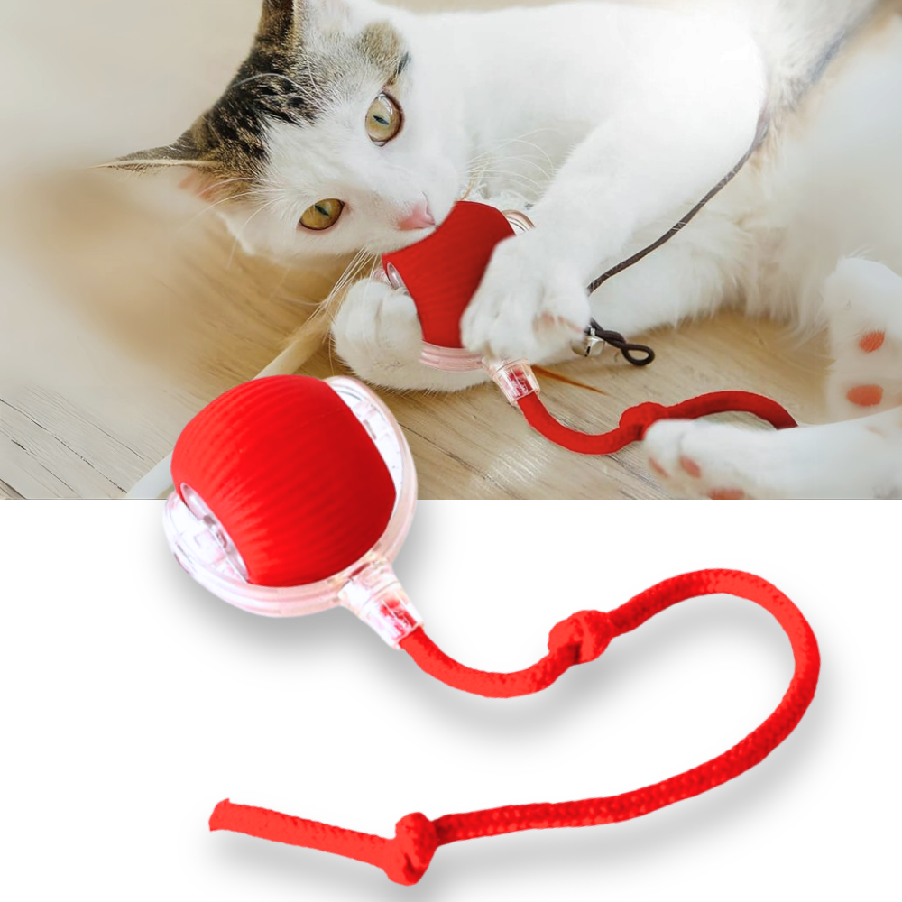 Balle motorisée pour chat avec queue en corde
