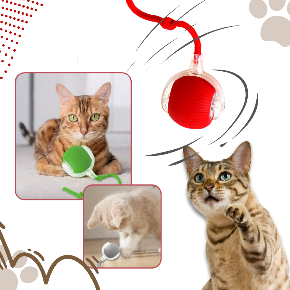 Balle motorisée pour chat avec queue en corde