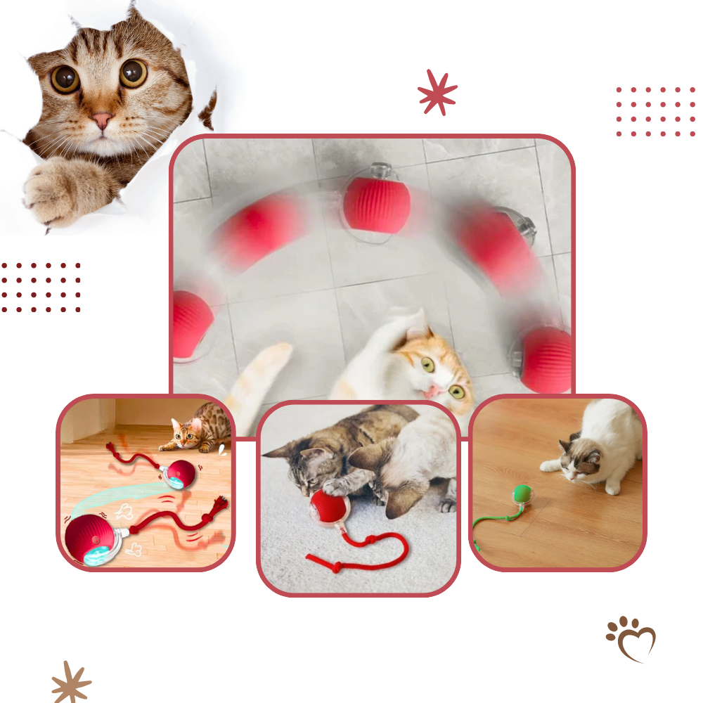 Balle motorisée pour chat avec queue en corde
