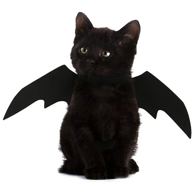 Ailes de chauve-souris réglables en feutre pour chien et chat
