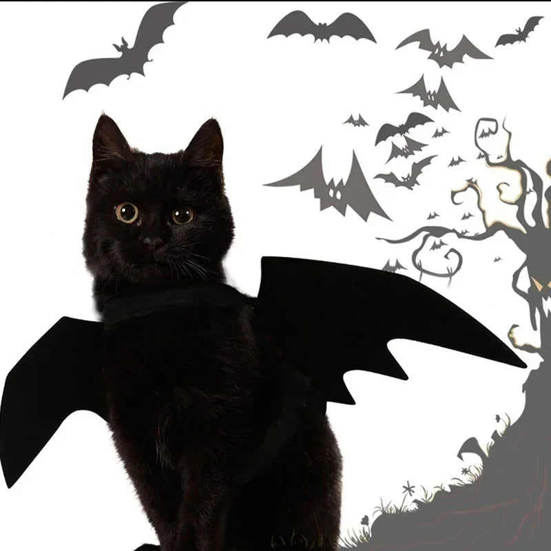 Ailes de chauve-souris réglables en feutre pour chien et chat