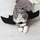 Ailes de chauve-souris réglables en feutre pour chien et chat