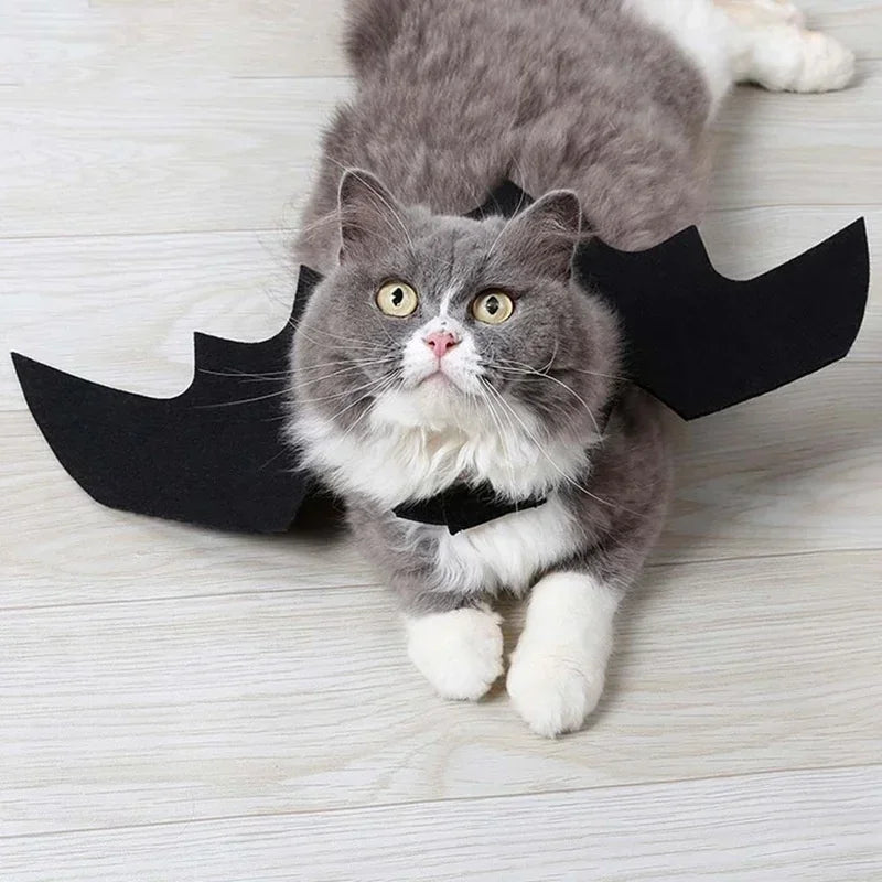 Ailes de chauve-souris réglables en feutre pour chien et chat