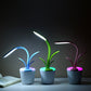 Lampe de bureau plante rechargeable à tige flexible