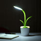 Lampe de bureau plante rechargeable à tige flexible