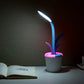 Lampe de bureau plante rechargeable à tige flexible