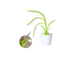 Lampe de bureau plante rechargeable à tige flexible