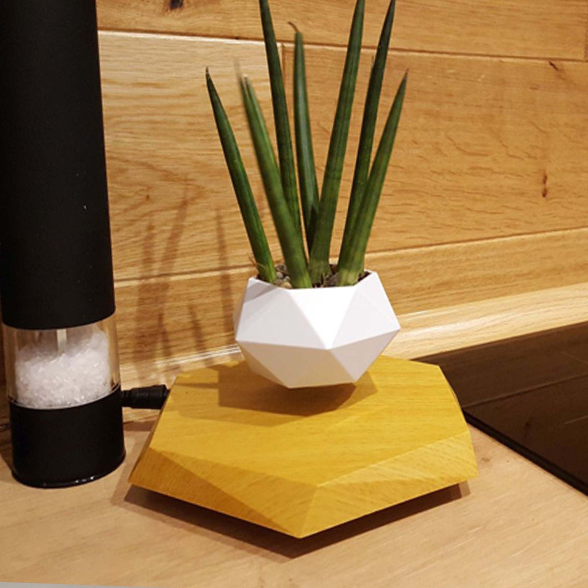 Pot de plante en lévitation magnétique avec base hexagonale