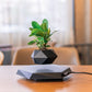 Pot de plante en lévitation magnétique avec base hexagonale