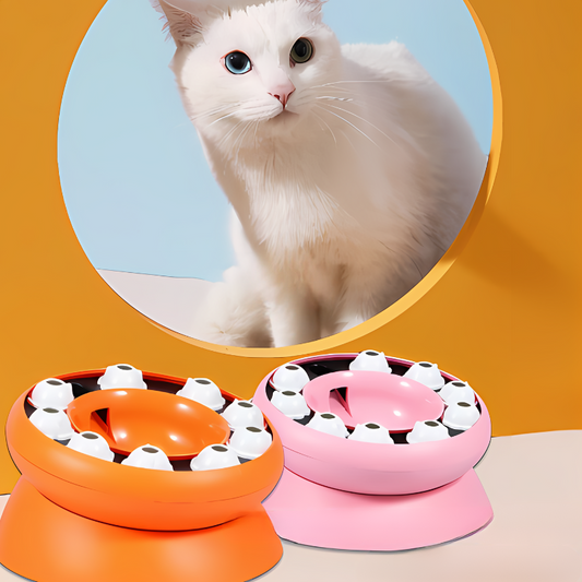 Felineau Gamelle Anti-Glouton pour Chat - Alimentation Lente