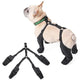 Bottes Imperméables Réglables pour Chien – Chaussures Antidérapantes Protection des Pattes Toutes Saisons