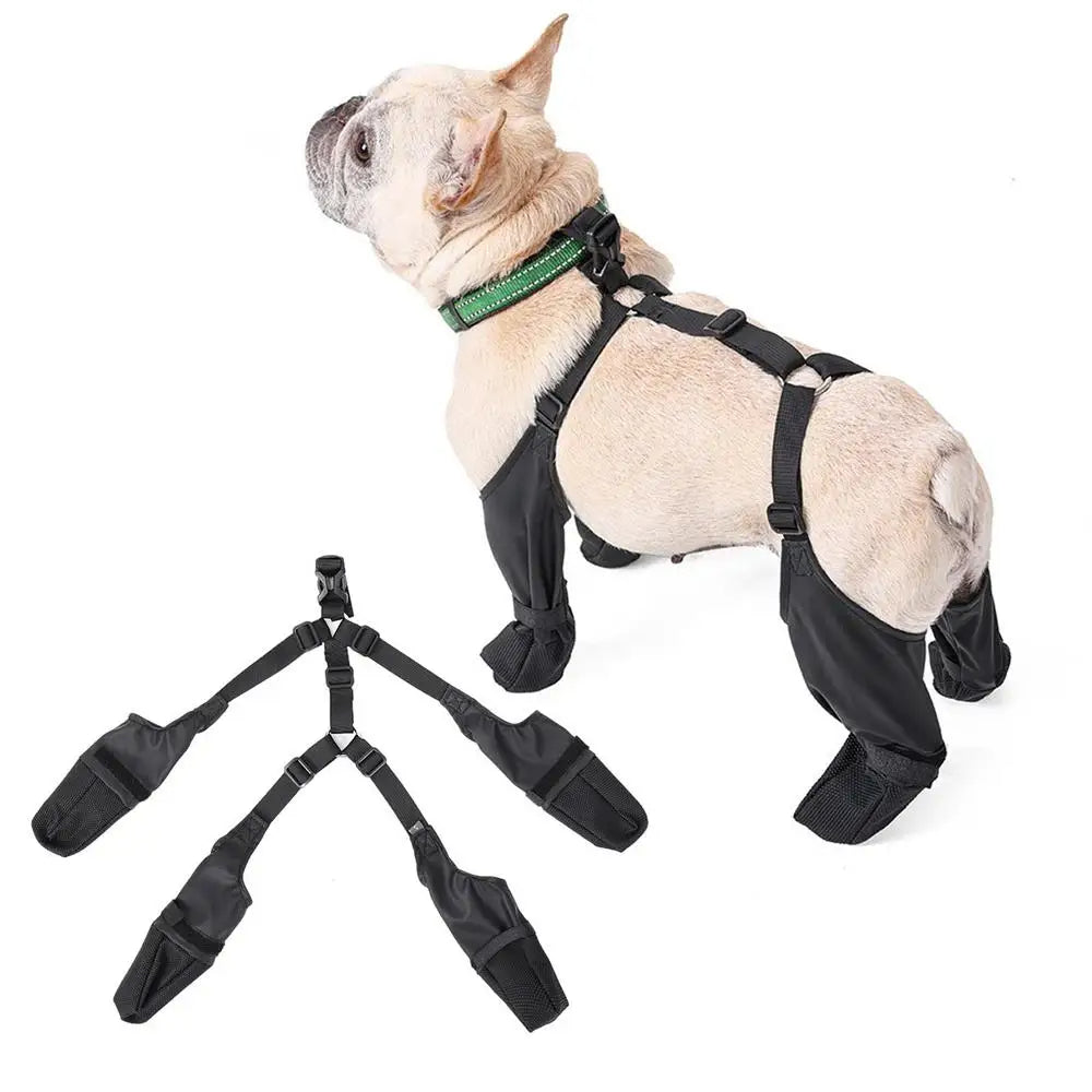 Bottes Imperméables Réglables pour Chien – Chaussures Antidérapantes Protection des Pattes Toutes Saisons